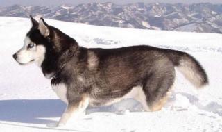 十二星座女生谁最萌