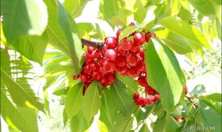 天水20天狂赚近14亿 天水20天狂赚近14亿