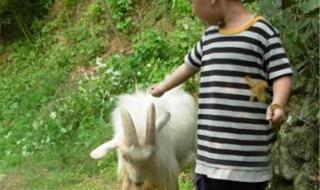 不是妈妈就不行1一6 不是妈妈就不行1一6