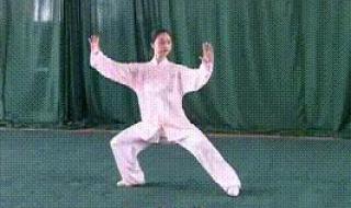 42式太极剑背向演练