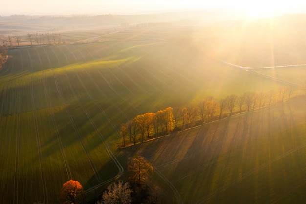 2022年湖南成人高考专升本政治复习资料四 专升本政治复习资料